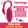 Trứng rung thông minh điều khiển bằng bluetooth điện thoại